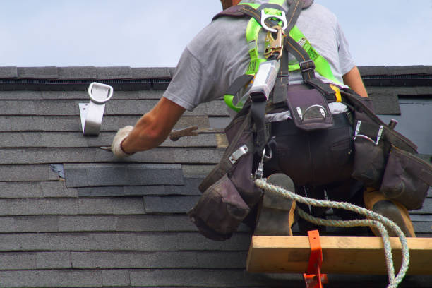 Best Storm Damage Roof Repair  in Fayetteville, AL